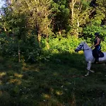 Pagony Piheno Farm * Orfalu