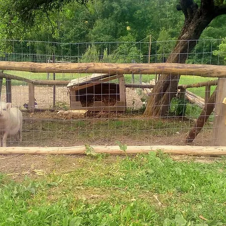 Pagony Piheno Farm Apartamento