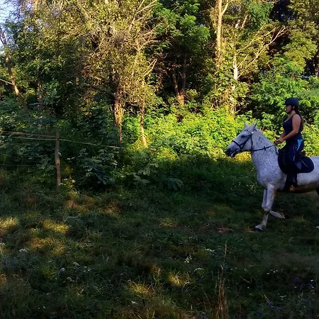 Pagony Piheno Farm * Orfalu