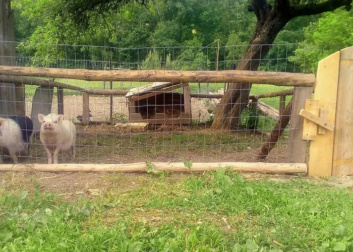 Pagony Piheno Farm Apartmán