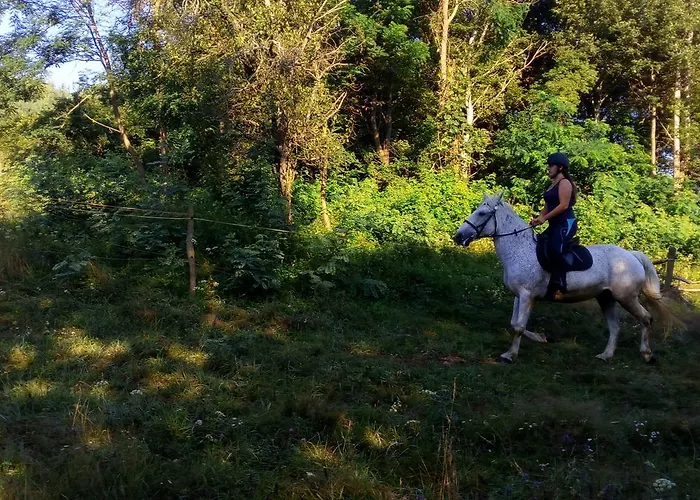Pagony Piheno Farm * Orfalu