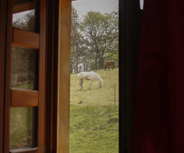 Pagony Piheno Farm Apartmán Orfalu